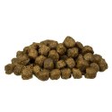 BOSCH Senior 1kg Bosch
