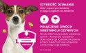 Bayer Kiltix Obroża Na Kleszcze I Pchły Dla Psa 38cm Bayer