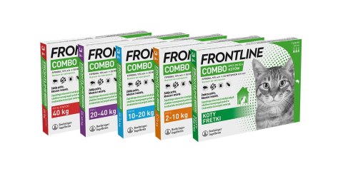 FRONTLINE Combo Spot-On Dla Kotów 3x0,5ml Frontline (Boehringer Ingelheim)
