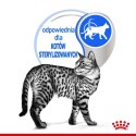 ROYAL CANIN Indoor Sterilised W Galaretce 12x85g Royal Canin