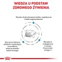 ROYAL CANIN Veterinary Renal Hypoallergenic Feline 400g Royal Canin weterynaria