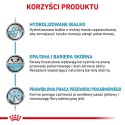 ROYAL CANIN Veterinary Renal Hypoallergenic Feline 400g Royal Canin weterynaria