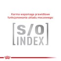 ROYAL CANIN Veterinary Renal Hypoallergenic Feline 400g Royal Canin weterynaria