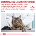 ROYAL CANIN Veterinary Renal Hypoallergenic Feline 400g Royal Canin weterynaria