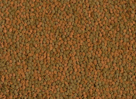 Tetra Wafer Mini Mix 100ml TETRA