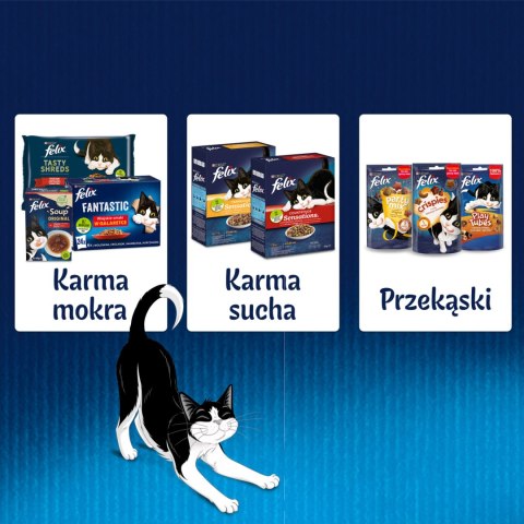 Felix Fantastic Rybne Smaki W Galaretce 12x85g Felix