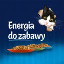 Felix Fantastic Rybne Smaki W Galaretce 12x85g Felix