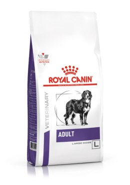ROYAL CANIN Adult Large Dog 13kg Royal Canin weterynaria