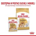 ROYAL CANIN Pomeranian Adult 1,5kg Royal Canin