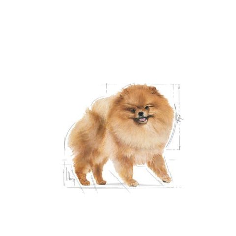 ROYAL CANIN Pomeranian Adult 1,5kg Royal Canin