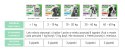 FRONTLINE Combo Spot-On Dla Psa 3x1,34ml Frontline (Boehringer Ingelheim)