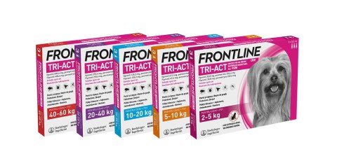 FRONTLINE Tri-Act Dla Psów 3x0,5ml Frontline (Boehringer Ingelheim)