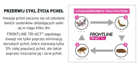 FRONTLINE Tri-Act Dla Psów 3x0,5ml Frontline (Boehringer Ingelheim)