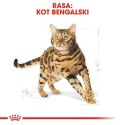 ROYAL CANIN Bengal Adult 2kg Royal Canin