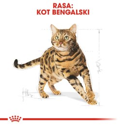 ROYAL CANIN Bengal Adult 2kg Royal Canin