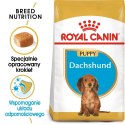 ROYAL CANIN Dachshund Puppy 1,5kg Royal Canin