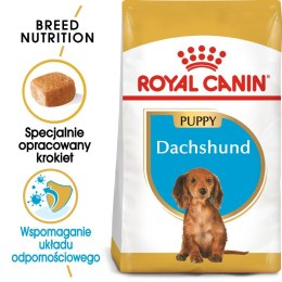 ROYAL CANIN Dachshund Puppy 1,5kg Royal Canin