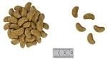 ROYAL CANIN Renal Select Canine 2kg Royal Canin weterynaria