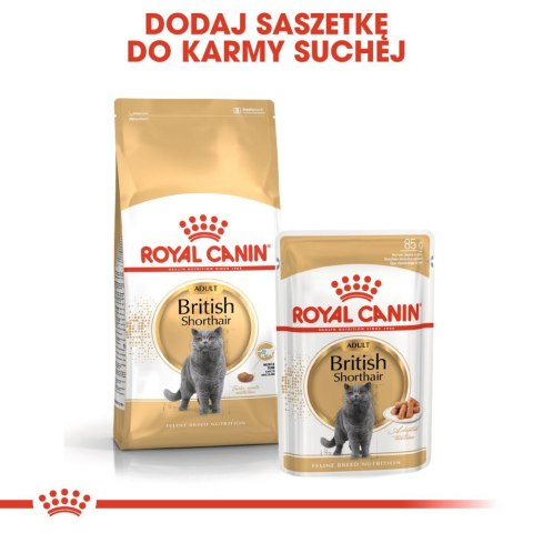 ROYAL CANIN British Shorthair Adult 2kg Royal Canin