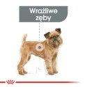 ROYAL CANIN CCN Mini Dental Care 3kg Royal Canin