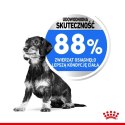 ROYAL CANIN CCN Mini Light Weight Care 3kg Royal Canin