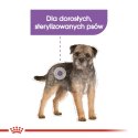 ROYAL CANIN CCN Mini Sterilised 3kg Royal Canin