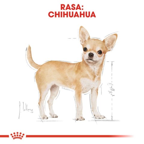 ROYAL CANIN Chihuahua Adult 1,5kg Royal Canin