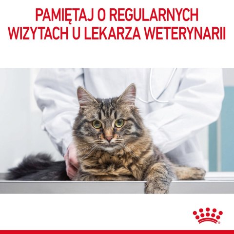 ROYAL CANIN Hairball Care 4kg Royal Canin