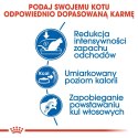 ROYAL CANIN Indoor 27 4kg Royal Canin