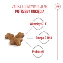 ROYAL CANIN Kitten 4kg Royal Canin