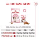 ROYAL CANIN Kitten 4kg Royal Canin