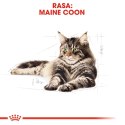 ROYAL CANIN Maine Coon Adult 2kg Royal Canin