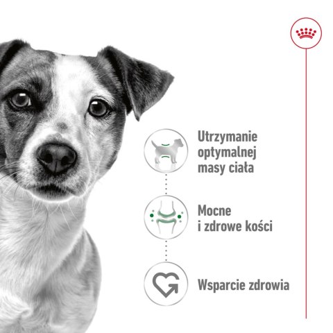 ROYAL CANIN Mini Adult 2kg Royal Canin