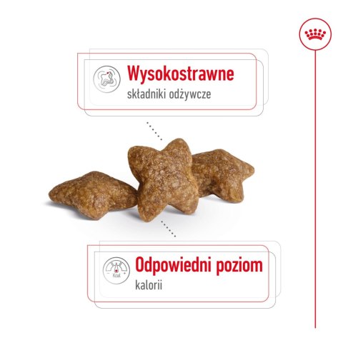 ROYAL CANIN Mini Adult 2kg Royal Canin