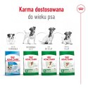 ROYAL CANIN Mini Adult 2kg Royal Canin