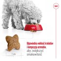 ROYAL CANIN Mini Adult 4kg Royal Canin