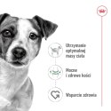 ROYAL CANIN Mini Adult 8kg Royal Canin