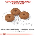 ROYAL CANIN Mini Ageing 12+ 3,5kg Royal Canin