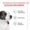 ROYAL CANIN Mini Puppy 4kg Royal Canin