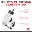 ROYAL CANIN Mother & Babycat 4kg Royal Canin