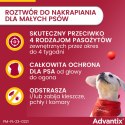 Bayer Advantix Krople Na Kleszcze I Pchły 1ml Bayer