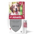 Bayer Advantix Krople Na Kleszcze I Pchły 4x2,5ml Bayer