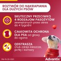 Bayer Advantix Krople Na Kleszcze I Pchły 4x4ml Bayer