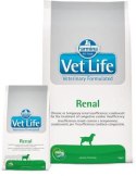 Farmina Vet Life Canine Renal 12kg Farmina