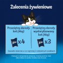 Felix Fantastic Junior W Galaretce 12x85g Felix
