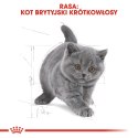 ROYAL CANIN British Shorthair Kitten 2kg Royal Canin