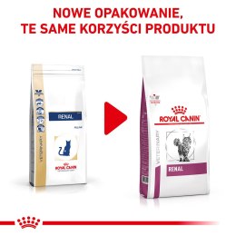 ROYAL CANIN Renal Feline 4kg Royal Canin weterynaria