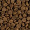 Tropidog Super Premium Adult Medium & Large Breed Kurczak I Łosoś 15kg Tropidog