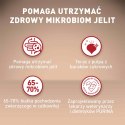 PURINA ONE Mini Active Kurczak, ryż - sucha karma dla psa - 800g PURINA ONE