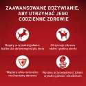 PURINA ONE Mini Delicate Łosoś, ryż - sucha karma dla psa - 800 g PURINA ONE